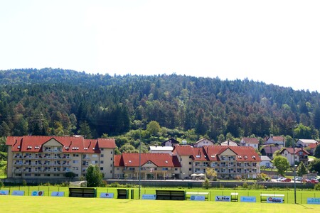 SUŠENJE DREVES ILUSTRACIJA 01 FOTO LJUBO VUKELIČ